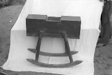 Maselnica biegunowa - Olpuch