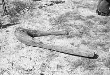 Wł&oacute;k - Krosewo