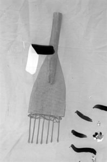 Oścień rybacki - Wdzydze