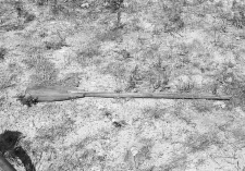 Łopata piekarska do chleba - Juszki