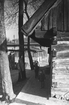 Chałupa konstrukcji zrębowej - Studzienice