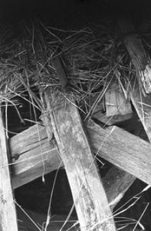 Stodoła szkieletowa z 1749 r. - Grab&oacute;wko [1]