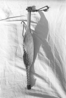 Nosidła do wody - Wdzydze Tuchoslkie