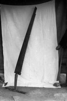 Piła tracka - Kościerzyna