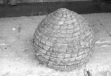 Ul słomiany - Bałachy