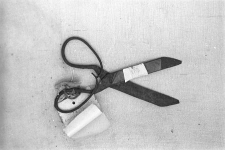 Nożyce krawieckie - Kalisz