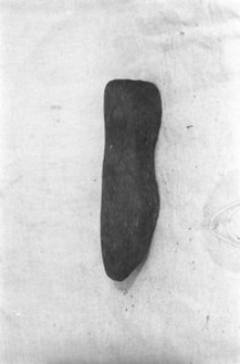 Kopyto szewskie - Rotenbark [1]