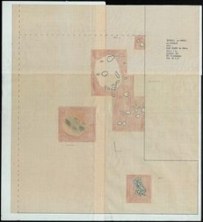 Grzybnica - rzut poziomy na [arach]. Stan. 1