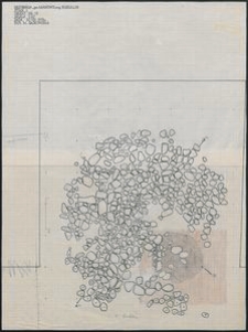 Grzybnica - Obiekt Nr 13. Stan. 1