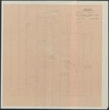Grzybnica - plan sytuacyjny wykop&oacute;w w części cmentarzyska. Stan. 1