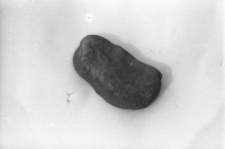 Kamienny ściernik używany przy obr&oacute;bce rogu