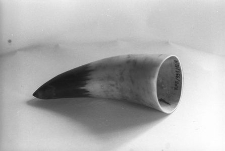 R&oacute;g do obr&oacute;bki dobrany ze względu na kolorystykę