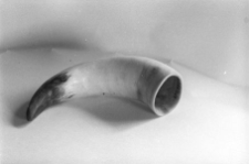 R&oacute;g do obr&oacute;bki dobrany ze względu na kolorystykę