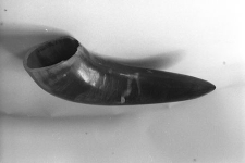 R&oacute;g do obr&oacute;bki dobrany ze względu na kolorystykę