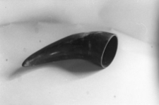 R&oacute;g do obr&oacute;bki dobrany ze względu na kolorystykę