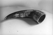 R&oacute;g do obr&oacute;bki dobrany ze względu na kolorystykę