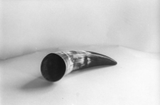 R&oacute;g do obr&oacute;bki dobrany ze względu na kolorystykę