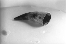 R&oacute;g do obr&oacute;bki dobrany ze względu na kolorystykę