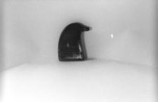 Tabakierka rogowa "kaczydzi&oacute;b"