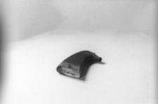 Tabakierka rogowa "świnka"