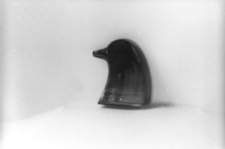 Tabakierka rogowa "świnka"