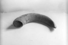 R&oacute;g zdjęty z kości czołowej