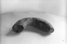 R&oacute;g przycięty do wyrobu tabakierki w kształcie buta