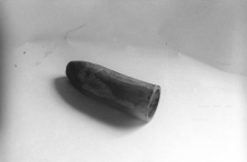 R&oacute;g wyprażony nad ogniem