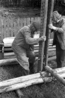 Lada flisacka - Bytonia