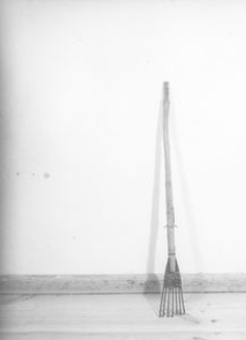 Oścień rybacki - Zdr&oacute;jno