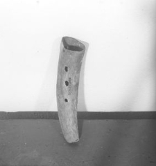 R&oacute;g pasterski - Klukowa Huta