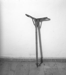 Laska myśliwska - Więckowy