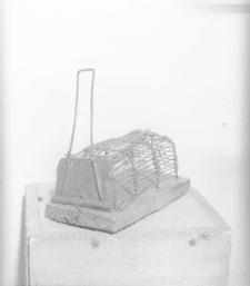 Łapka na myszy - Klukowa Huta