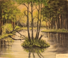 Wejherowska oaza spokoju