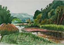 Młynki koło Wejherowa