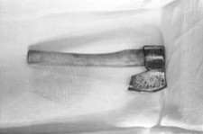 Top&oacute;r - Borsk