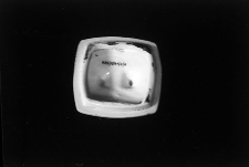 Wieczko od pojemnika na ryż - Świecie