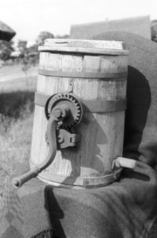 Masielnica wirnikowa - Będominek