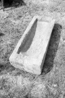 Skrzyn&oacute;wek - Loryniec