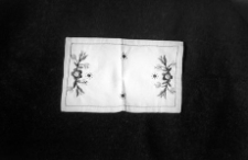 Serwetka - Wdzydze [4]