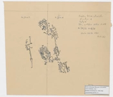 Koszalin - G&oacute;ra Chełmska, stan. 1. Plan w 13/61, wykop II Ar 34/33 ćw. B/A