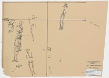Koszalin - G&oacute;ra Chełmska, stanowisko 1. Rzut poziomy szkielet&oacute;w, wykop I