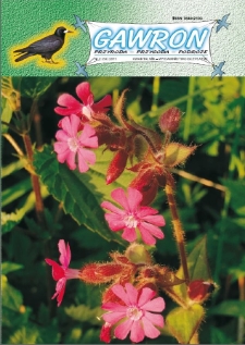 Gawron, 2011, nr 2