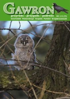 Gawron, 2016, nr 1