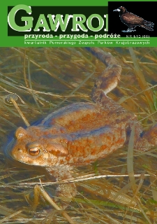 Gawron, 2013, nr 1