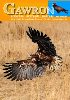 Gawron, 2013, nr 2