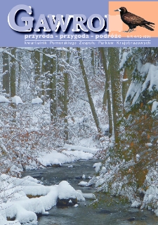Gawron, 2013, nr 4
