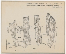 Słupsk - Stary Rynek. Profil wewnętrzny ściany p&oacute;łnocnej budynku (widok od południa). Stanowisko 3, wyk. I, Ar 27, Cw A i B