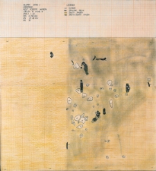 Słupsk - Grodzisko. Rzut pionowy kamieni i belek w w-wie IV. Stanowisko 1