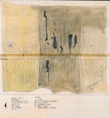 Słupsk - Grodzisko. Rzut poziomy wykopu II z konstrukcjami drewnianymi. Stanowisko 1